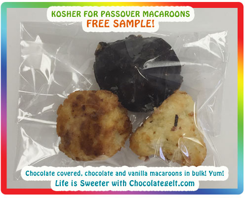 Free Sample - Macaroons Kosher for Passover Parve