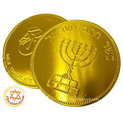 Large Chocolate Coin MILK Nut-Free Kosher (Discount Case of 48)